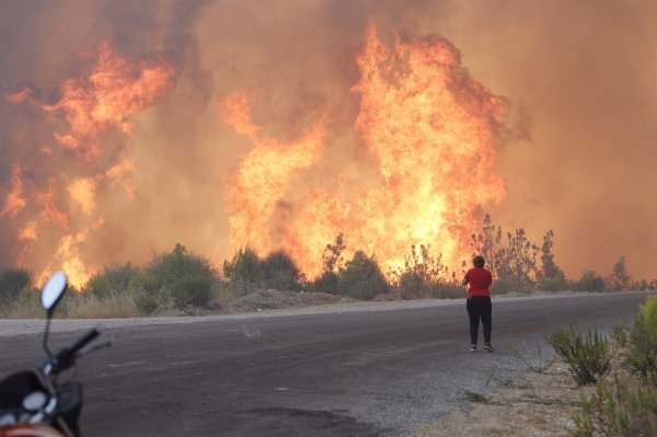 Лесные пожары в Турции 2021