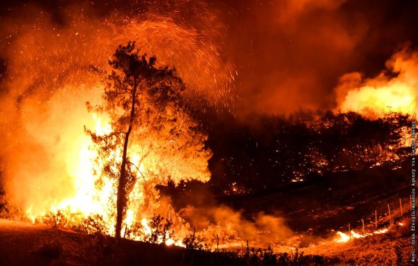 Турецкие Лесные пожары