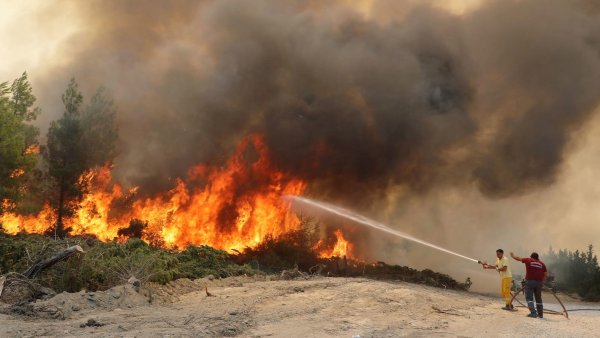 Турецкие Лесные пожары