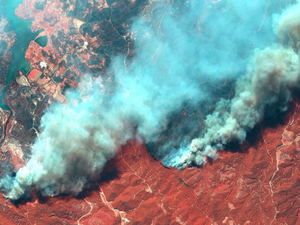 Пожар в Турции 2021 28 июля