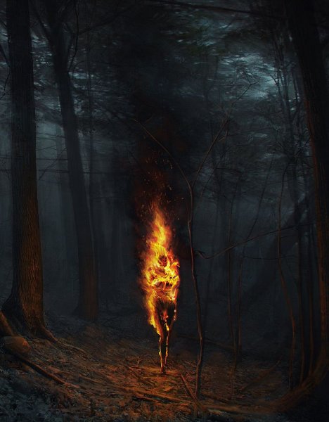 Огонь мистика