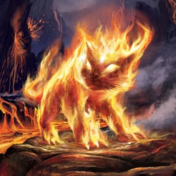Огненная кошка