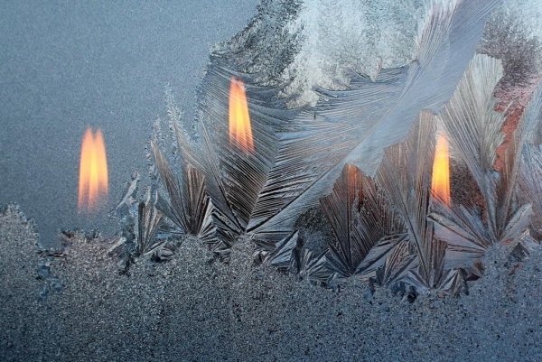 Морозные свечи