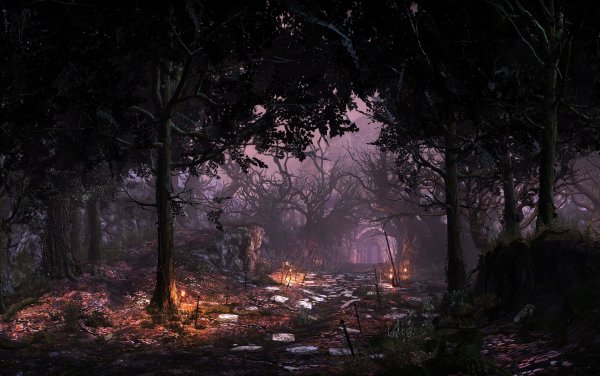 Dark Souls лес