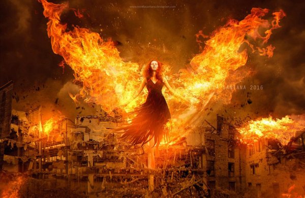 Девушка Феникс в огне