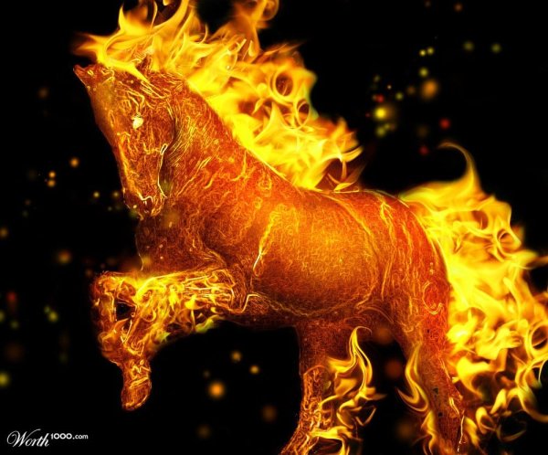 Огненный конь на дыбах