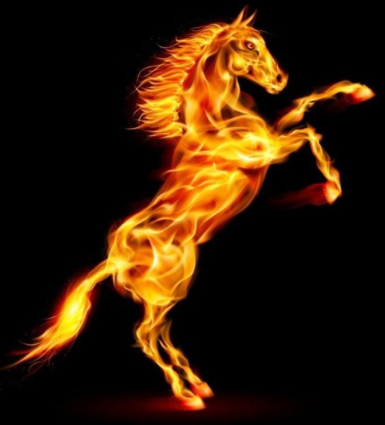 Красно синие лошади