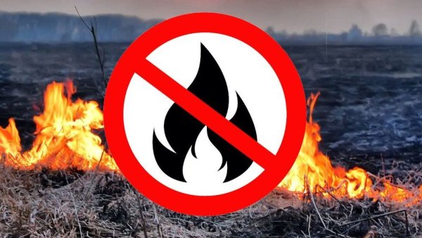 Огонь запрещен