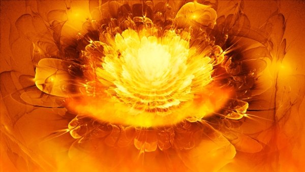 Пламенный цветок