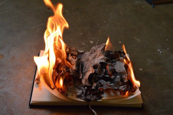 Эстетика коричневый огонь