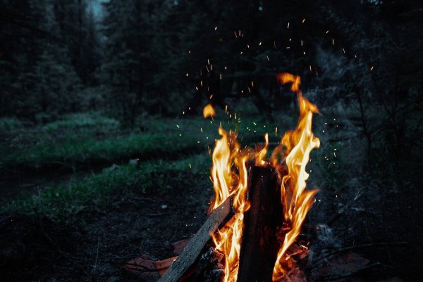 Костер красивое фото