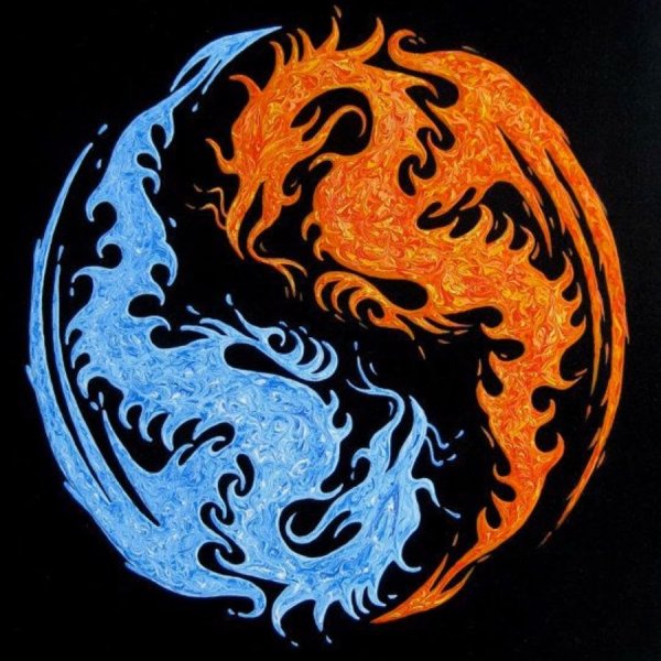 Инь Ян Феникс и китайский дракон