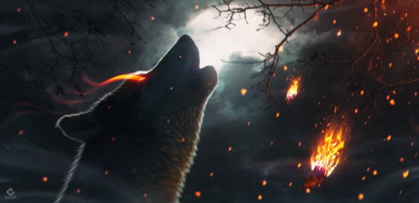 Картинки Волков в огне