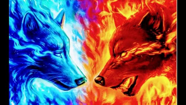 Волк в огне