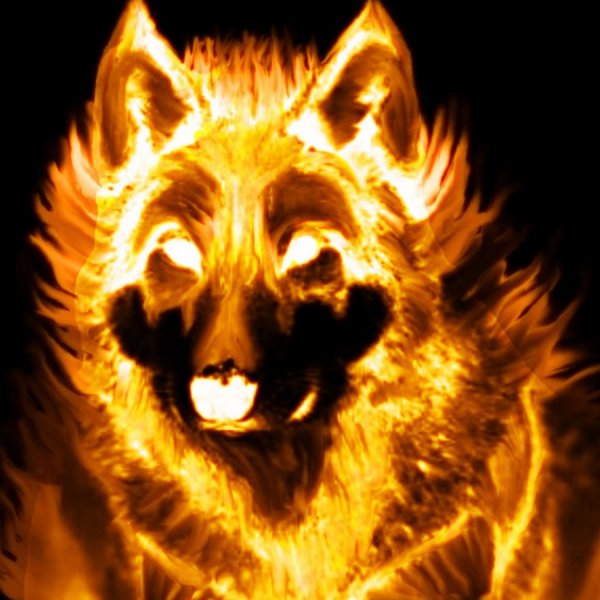 Огненный пес