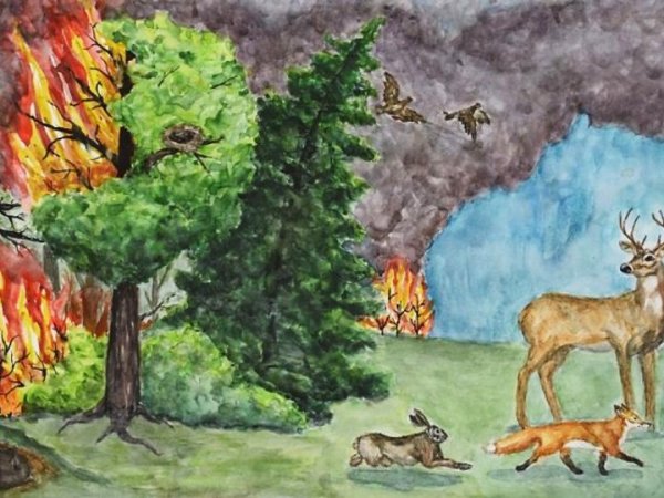 Рисунок на тему Лесные пожары