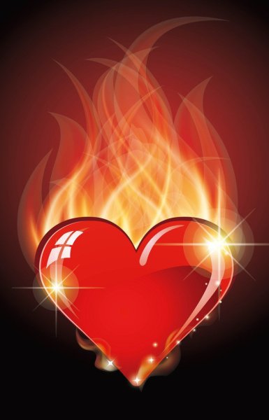 Сердце в огне