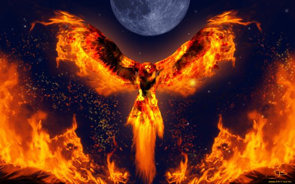 Феникс Восставший из пепла Гарри Поттер