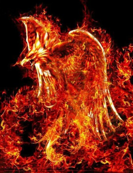 Голова Феникса