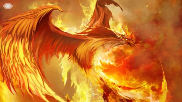 Феникс из пепла