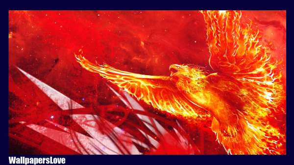 Птица Феникс фото