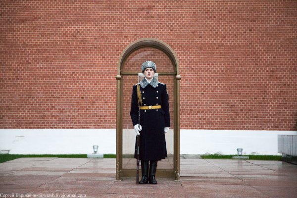 Александровский сад президентский полк