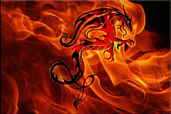 Огненная саламандра дух огня