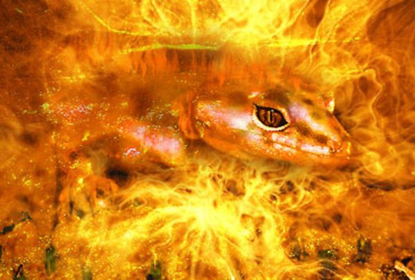 Огненные Саламандры духи огня