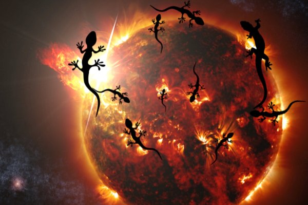 Саламандра Элементаль