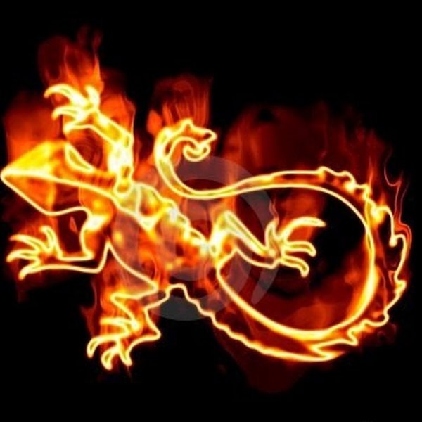 Огненная саламандра символ