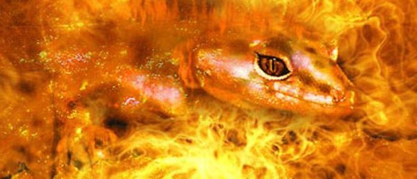 Огненная саламандра дух огня