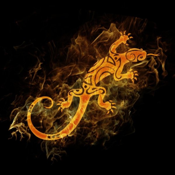 Саламандра Огненная мифология