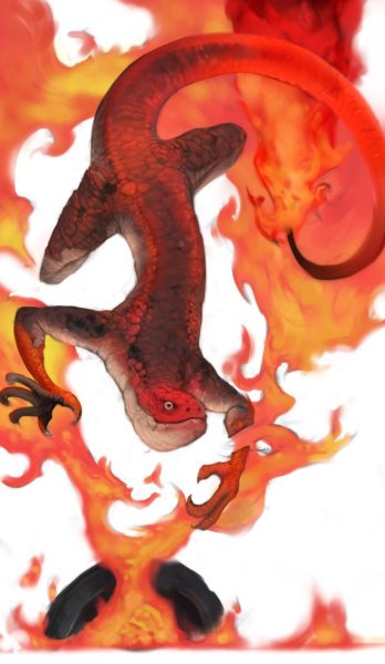 Саламандра Элементаль огня