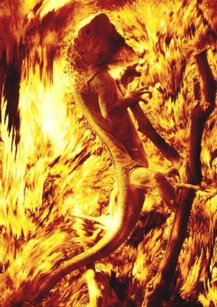 Огненные Саламандры духи огня