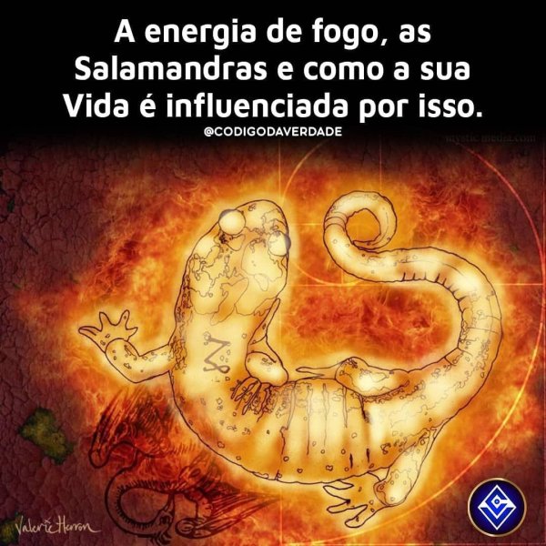 Магия саламандра Огненная саламандра