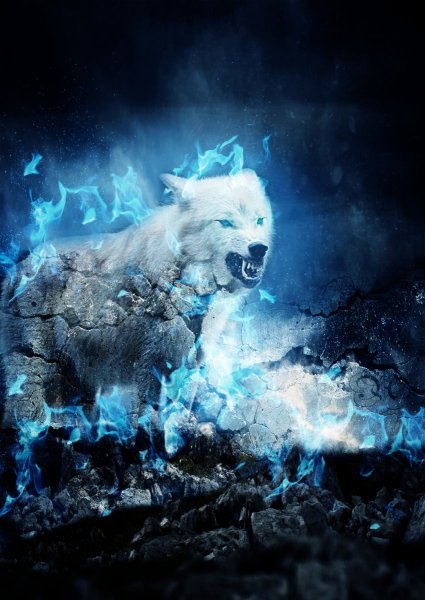 Волк в огне