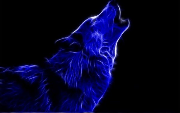 Волк на синем фоне