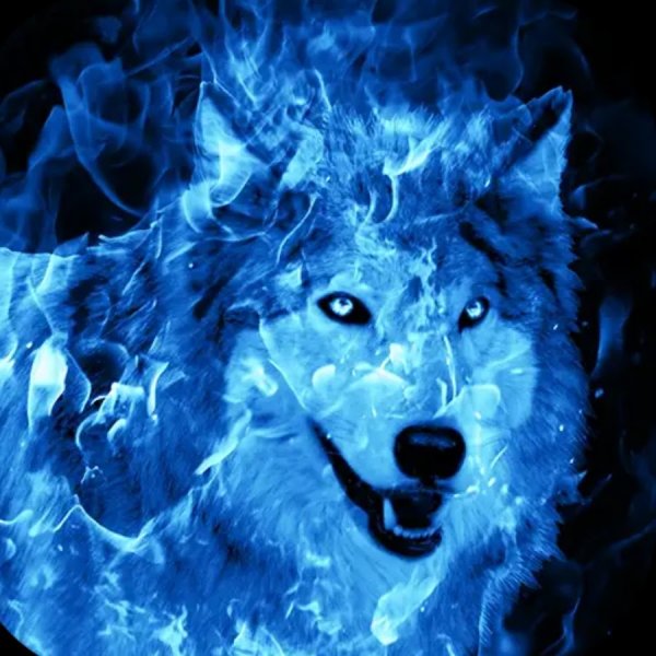 Волк синий огонь
