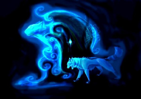 Волшебные коты стихий