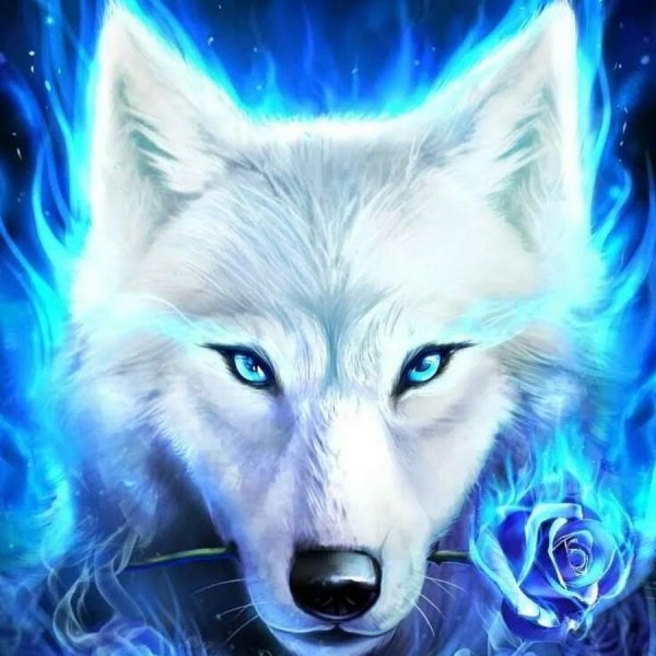 Лориен Волконская зоошиза