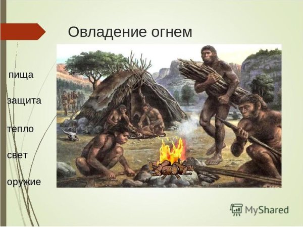 Овладение огнем древних людей