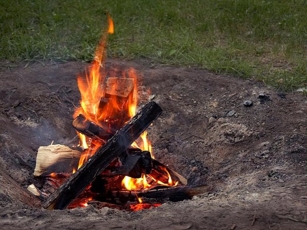 Место для костра в лесу