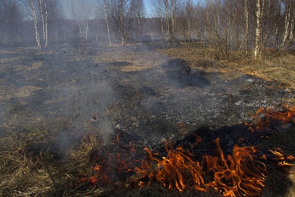 Лесные и торфяные пожары