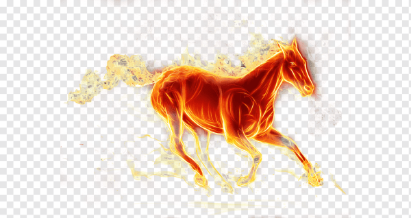 Огненная лошадь на белом фоне