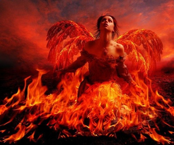 Птица Феникс Восставшая из пепла