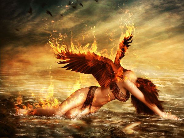 Падший Феникс