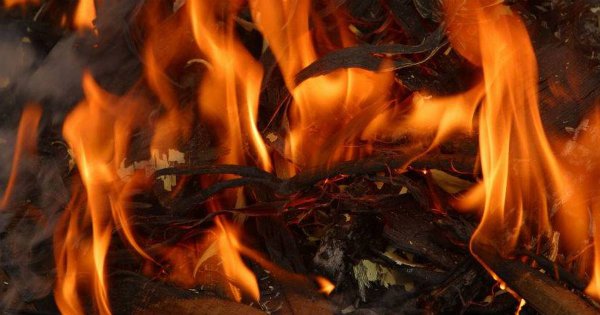 Масло в огонь