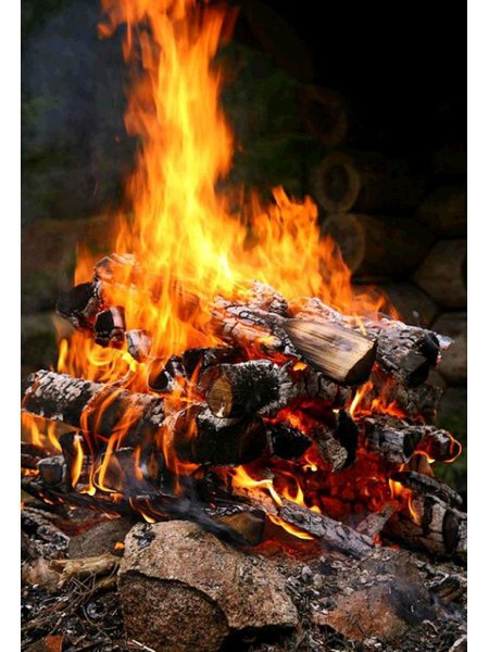 Костер картина