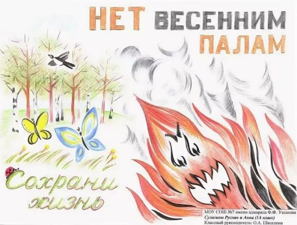 Плакат не жгите сухую траву