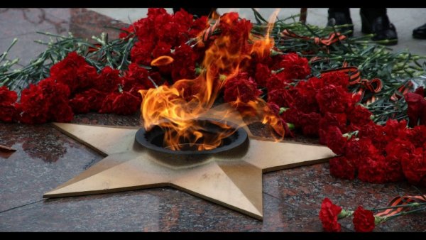 Великая Отечественная война вечный огонь
